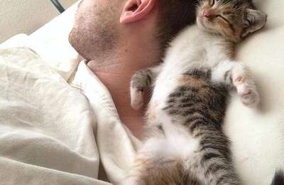不要误会了，猫猫喜欢在你身边睡觉，绝对不是因为爱你